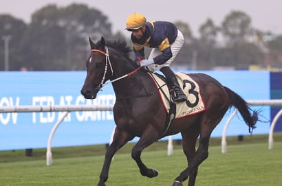 Doomben Tips for 16.08.2025