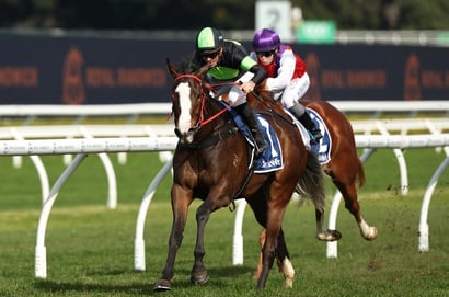 Doomben Tips for 17.05.2025