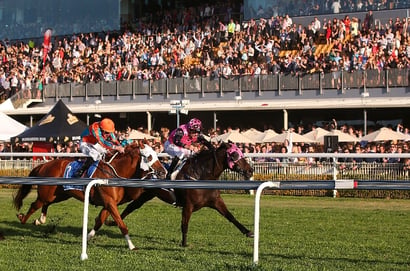 Doomben Betting Tips for August 26, 2026 - Vanessi Finds Her Chance