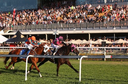 Doomben Betting Tips for August 1, 2026 - Fire, Reason and Glory