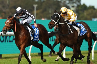 Dubbo tips for 27/09
