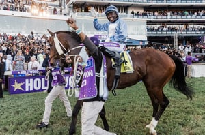 Durban July 2026 live streaming