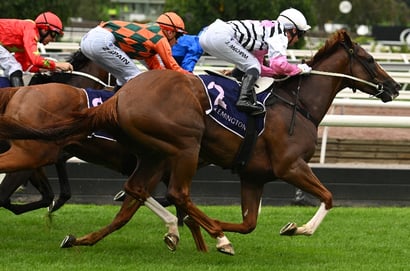 Durbanville horse racing