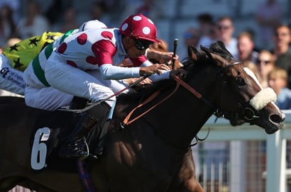 Durbanville racing