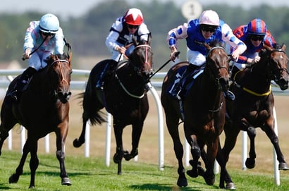 Durbanville racing