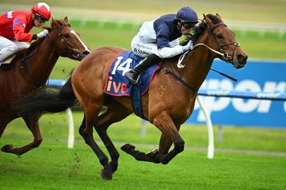 Durbanville racing