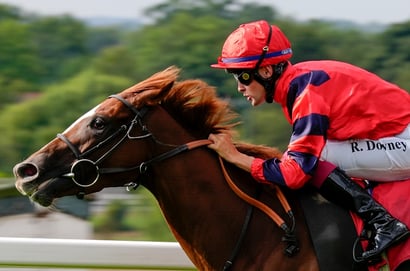Durbanville racing