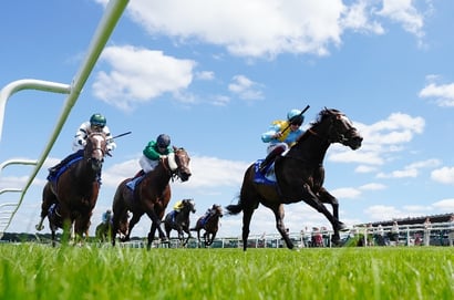 Durbanville racing