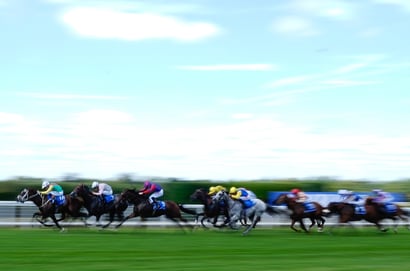 Durbanville racing