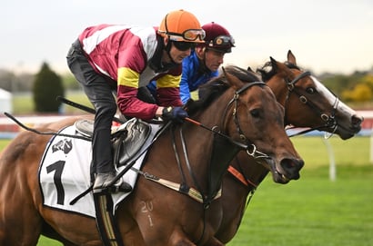 Durbanville racing tips