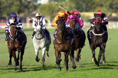 Eagle Farm Horse Racing