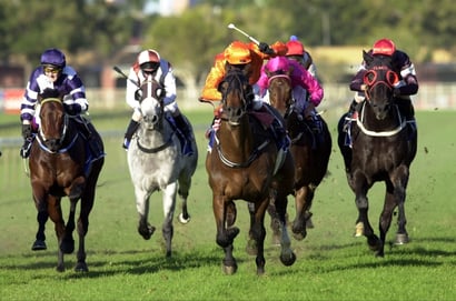 Eagle Farm Horse Racing