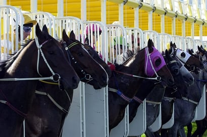 Eagle Farm Tips for 01.03.2025
