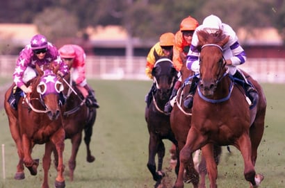 Eagle Farm Tips for 02.07.2025