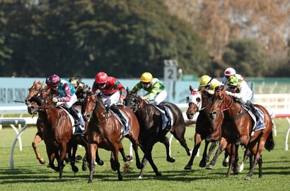 Eagle Farm Tips for 14.06.2025