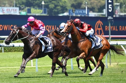 Eagle Farm Tips for 15.02.2025