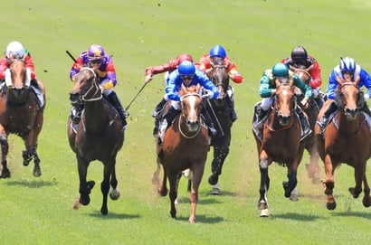 Eagle Farm tips - 12/08