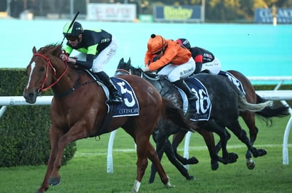 Eagle Farm tips - 20/12