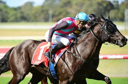 Eagle Farm tips - 25/04
