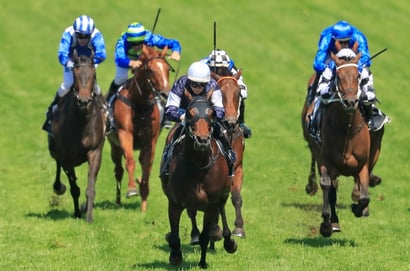 Eagle Farm tips - 31/01