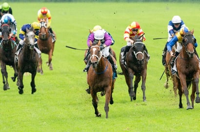 Eagle Farm tips for 01/11