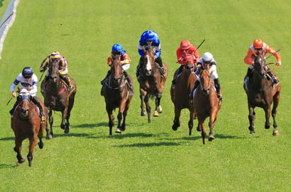 Eagle Farm tips for 28/02