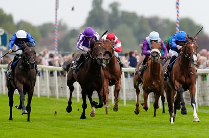 Ebor Festival - Day 1 tips