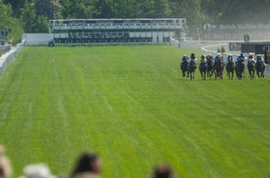 2026 Ebor Handicap Live Stream - Watch the York race online