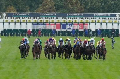 Ebor day 2 tips