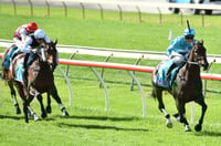 Echuca Tips for 03.06.2025