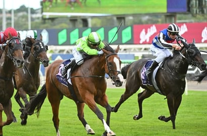 Echuca Tips for 09.03.2025