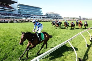 Empire rose Odds