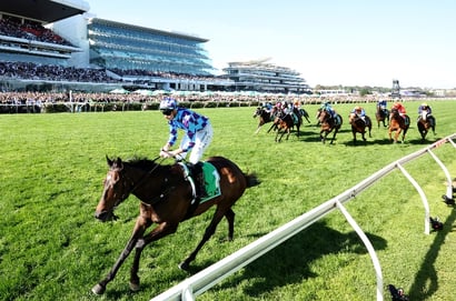 Empire rose Odds