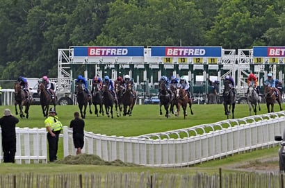 2025 Epsom Derby Confirmed Runners - Delacroix heads field of 19 for Epsom