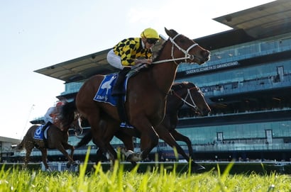 Epsom Handicap 2025 - Barrier Draw & Final Field
