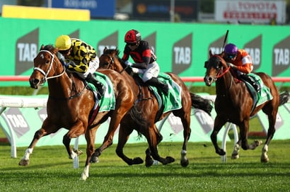Epsom Odds