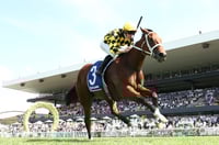 Epsom Odds