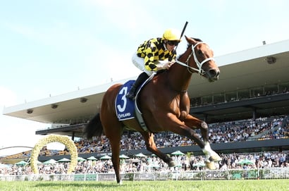 Epsom Handicap 2025 Betting Odds - Autumn Glow has firmed