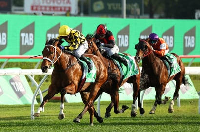 The Golden Eagle 2025 Betting Odds - Autumn Glow Favoured to Extend Unbeaten Streak