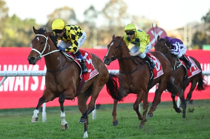 Epsom Handicap 2025 Betting Odds - Autumn Glow has firmed