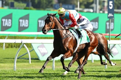 The Everest 2025 Photo Gallery - Ka Ying Rising Shines at Randwick