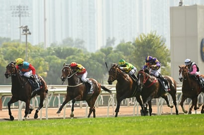 Everest tips