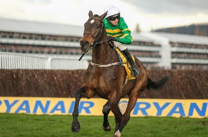 Bet365 Super Boost - Get 6/4 on Fact To File to win the Punchestown Champion Chase