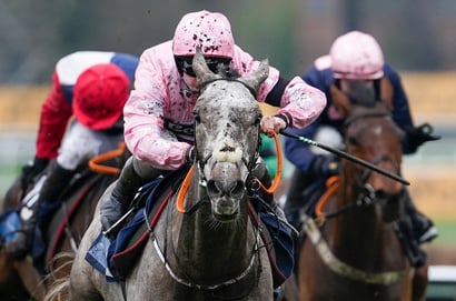 Fairview horse racing