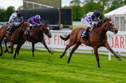 Fairview racing