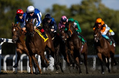Fairview racing
