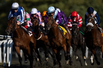 Fairview racing