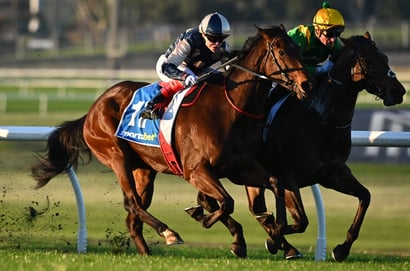 Fairview racing