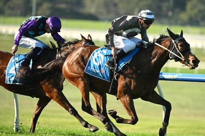 Fairview racing
