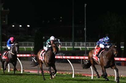 Feehan Stakes